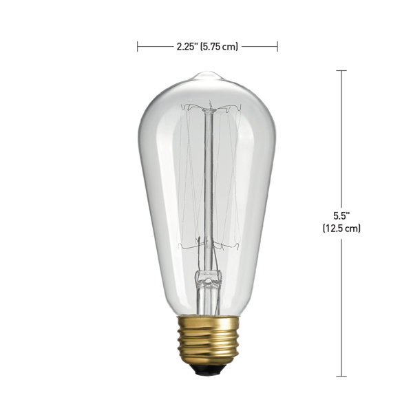 Globe Electric Company Ampoule incandescente de 60 watts ST19, ampoule